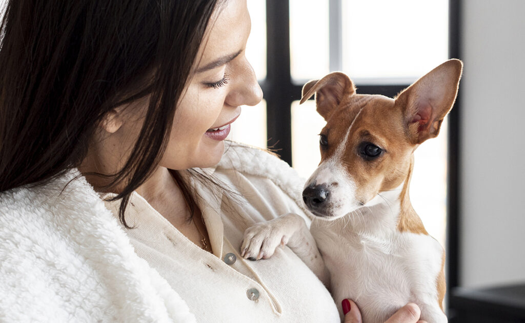 Assurances animaux domestiques : Que faut-il savoir ?